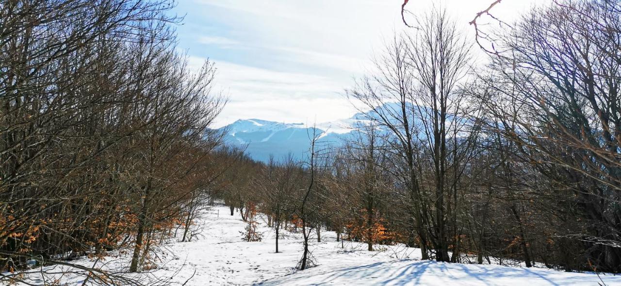 Granchalet Sul Cimone 103 Монтекрето Екстериор снимка